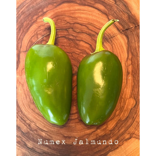 Numex Jalmundo - Hot Pepper Seeds