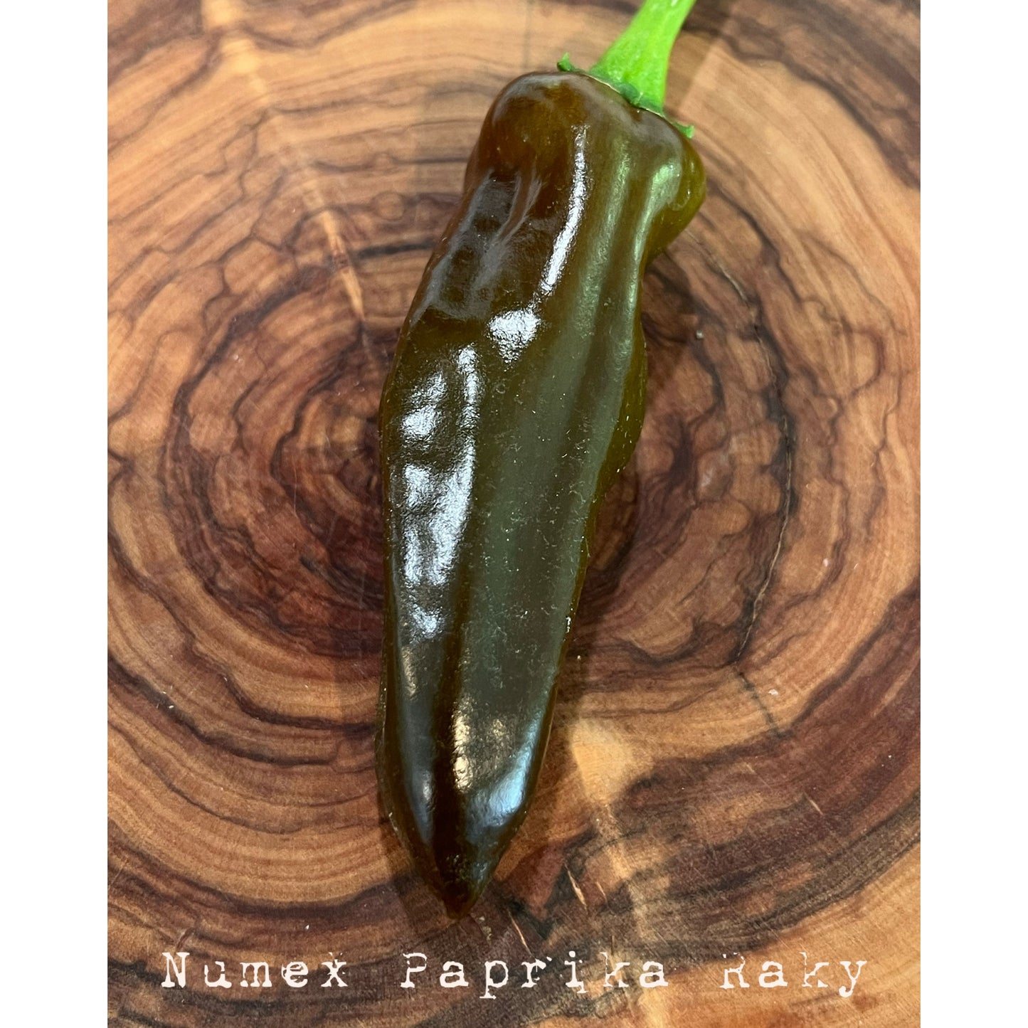 Paprika Numex R Raky - Hot Pepper Seeds