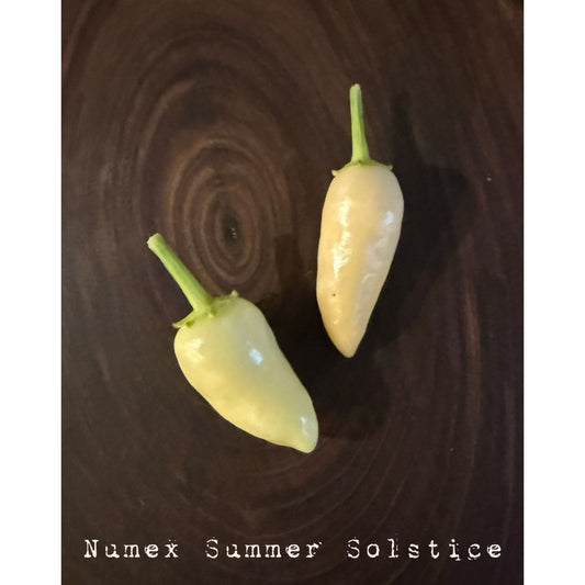 Graines de piment fort Numex Summer Solstice