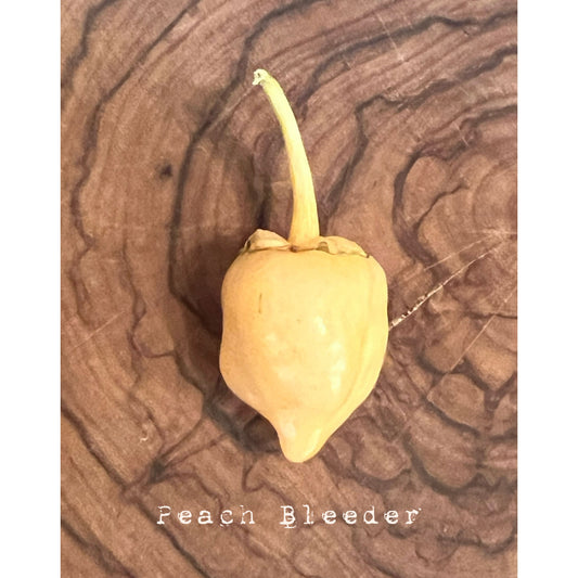 Peach Bleeder -  Hot Pepper Seeds