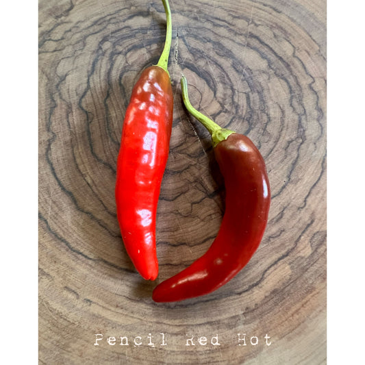 Pencil (Red) -  Hot Pepper Seeds