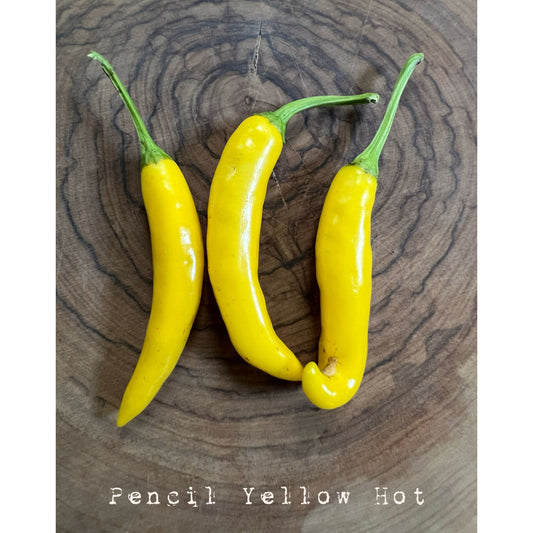 Pencil (Yellow) -  Hot Pepper Seeds