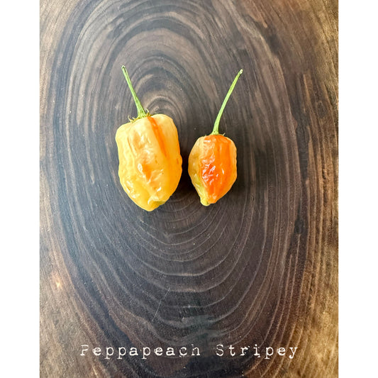 Peppapeach Stripey Hot Pepper Seeds