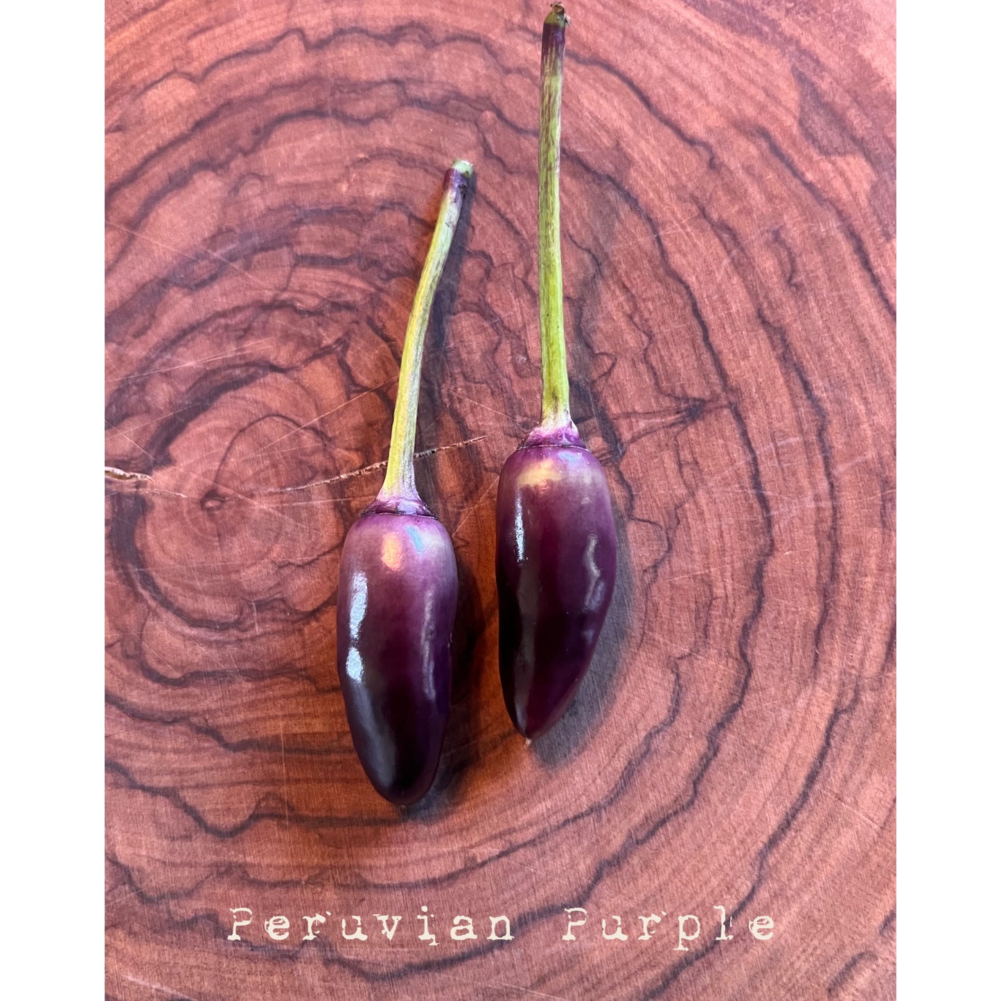 Peruvian Purple - Hot Pepper Seeds