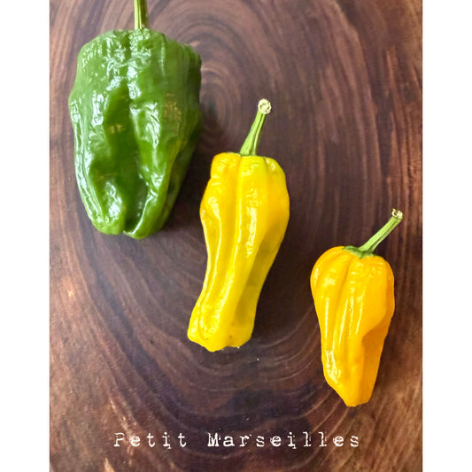 Petit Marseillais Hot Pepper Seeds
