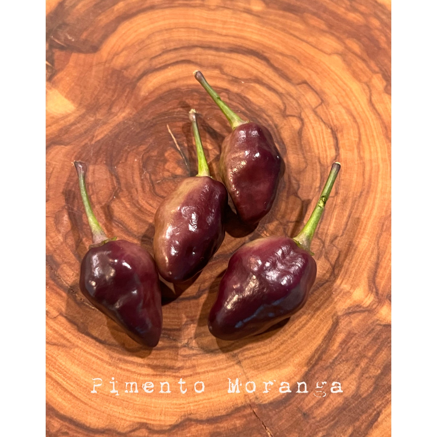 Pimento Moranga - Hot Pepper Seeds