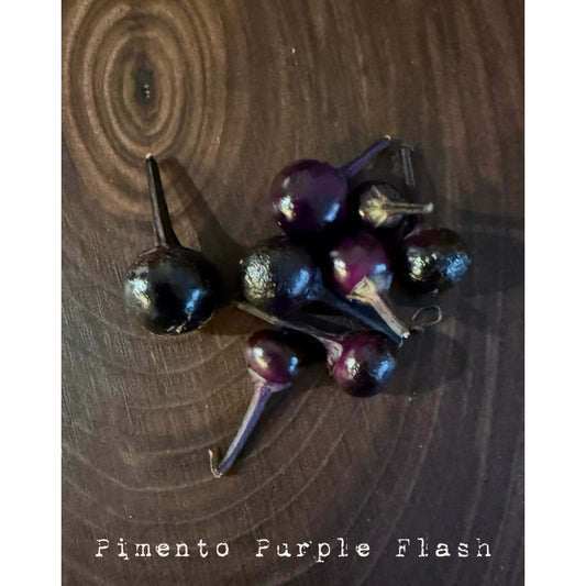 Pimento Purple Flash Hot Pepper Seeds