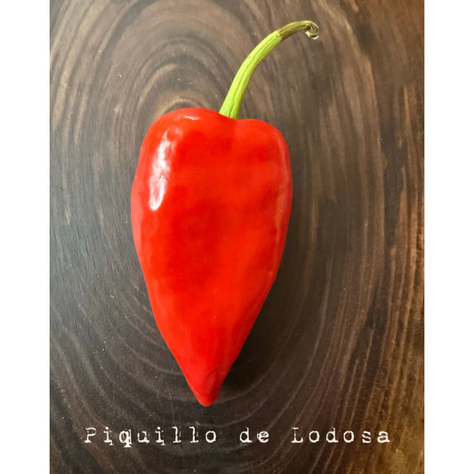 Piquillo de Lodosa Hot Pepper Seeds