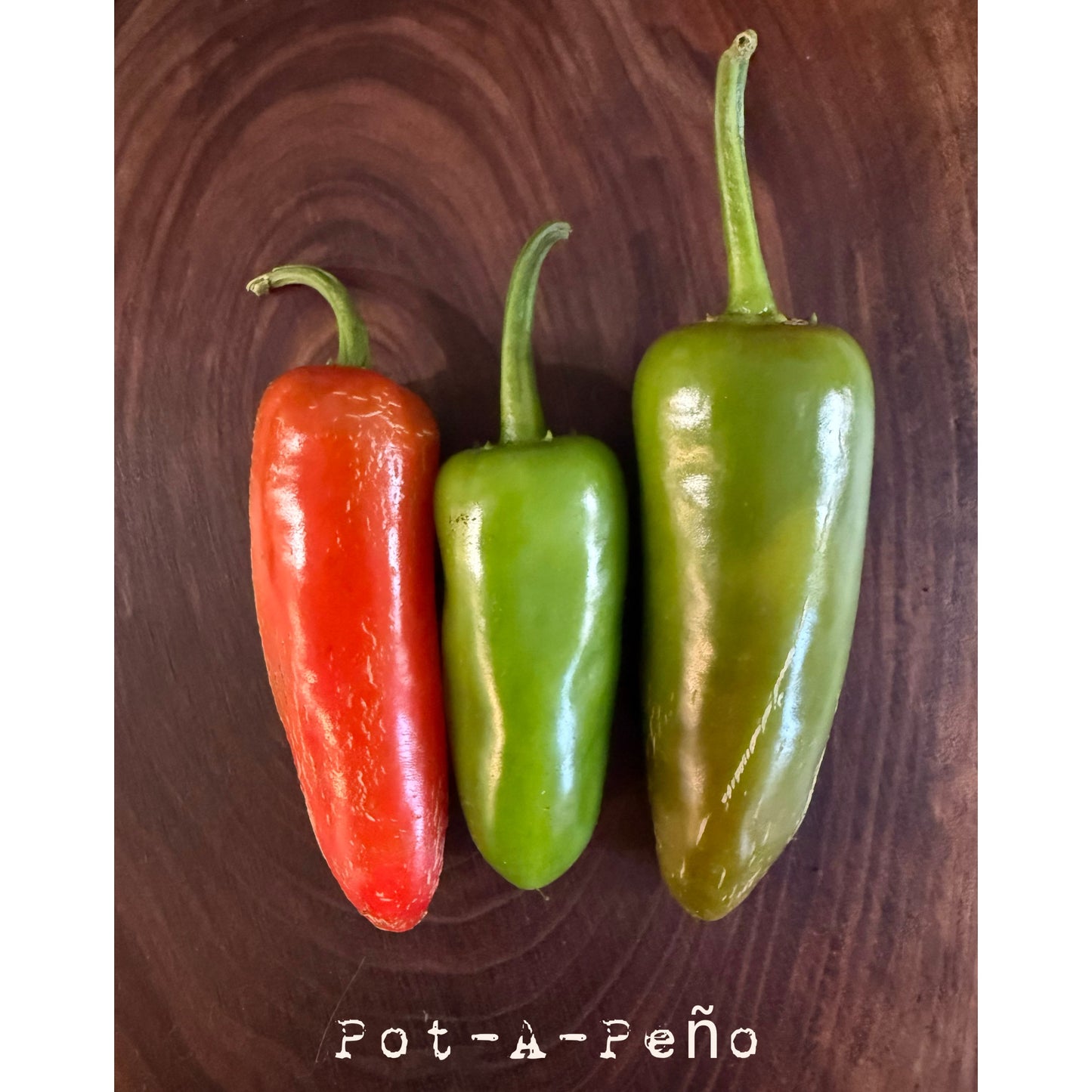 Graines de piment fort Pot-a-Peno