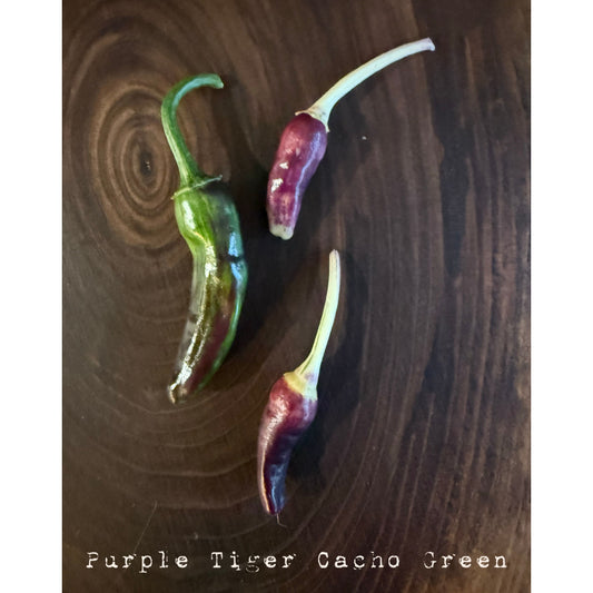 Purple Tiger Cacho Green Hot Pepper Seeds
