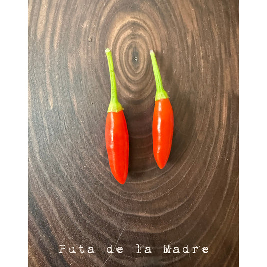 Puta de la Madre Hot Pepper Seeds