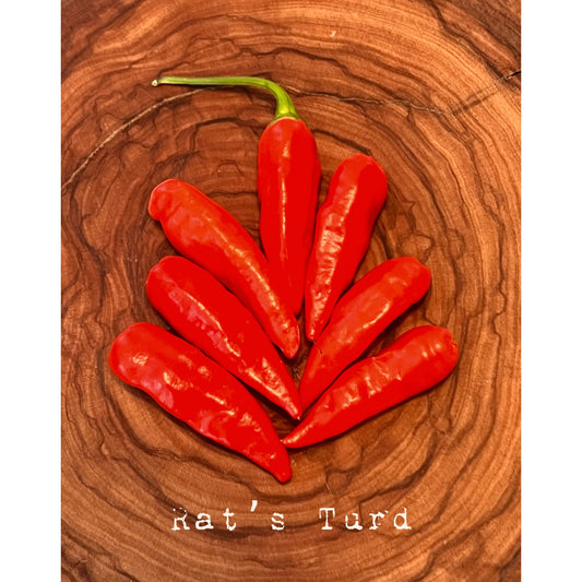 Rat's Turd - Hot Pepper Seeds