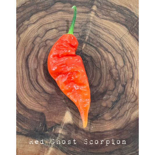 Red Ghost Scorpion - Hot Pepper Seeds