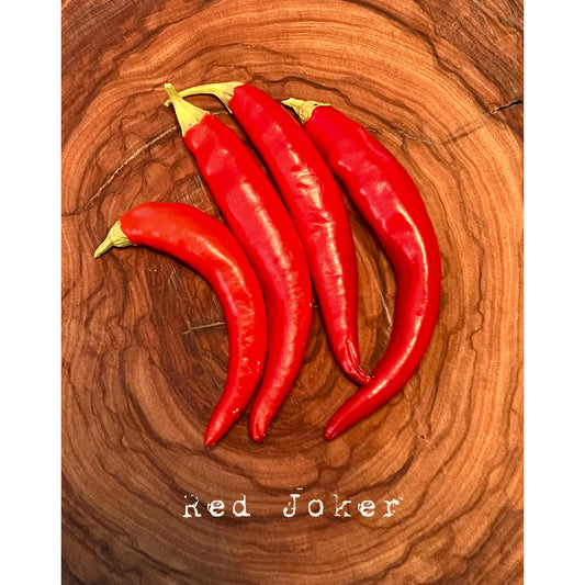 Red Joker - Hot Pepper Seeds