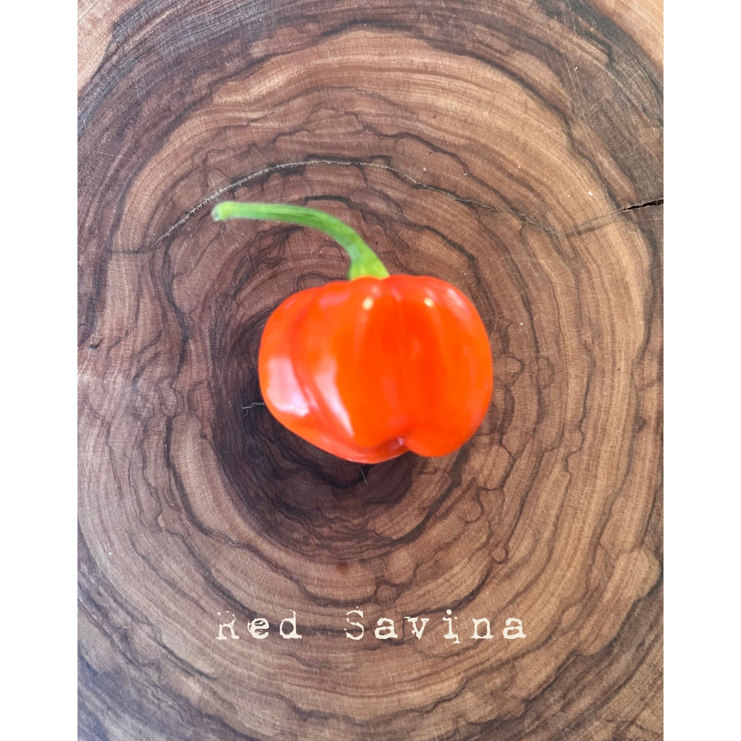 Habanero - Red Savina - Hot Pepper Seeds