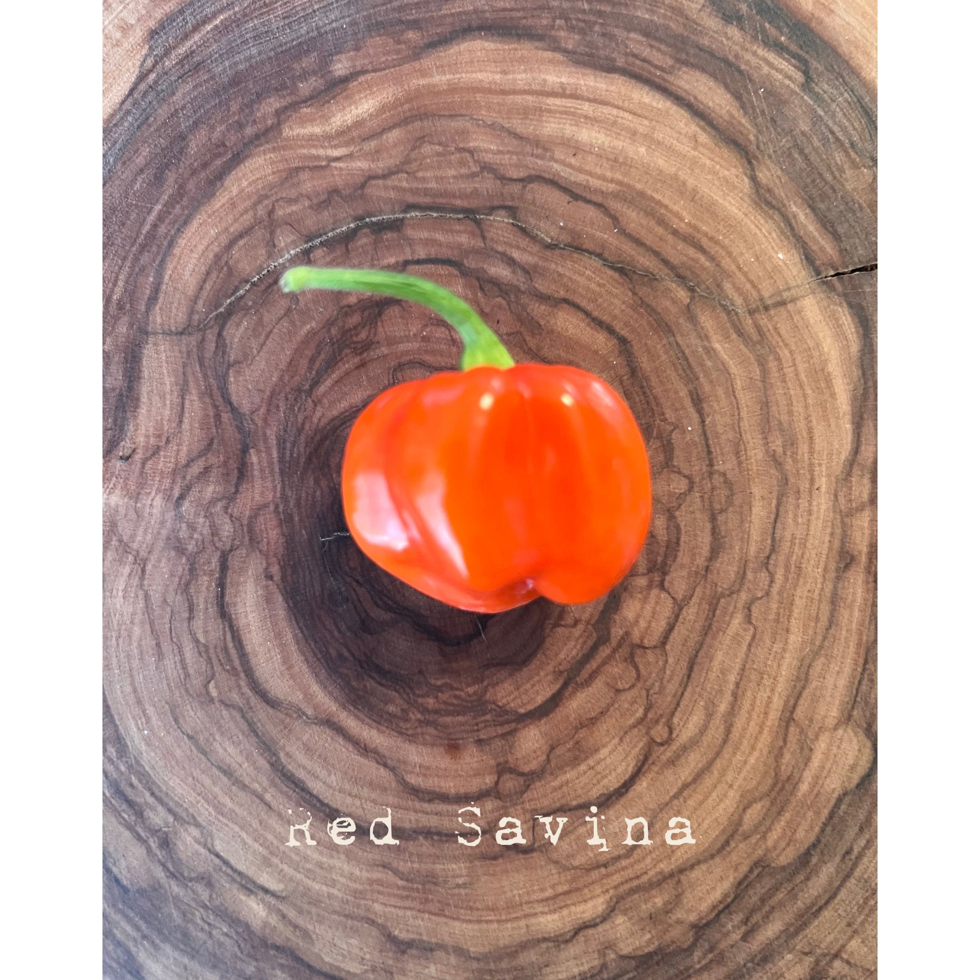 Habanero - Red Savina - Hot Pepper Seeds