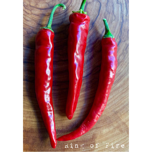 Cayenne - Ring of Fire - Hot Pepper Seeds