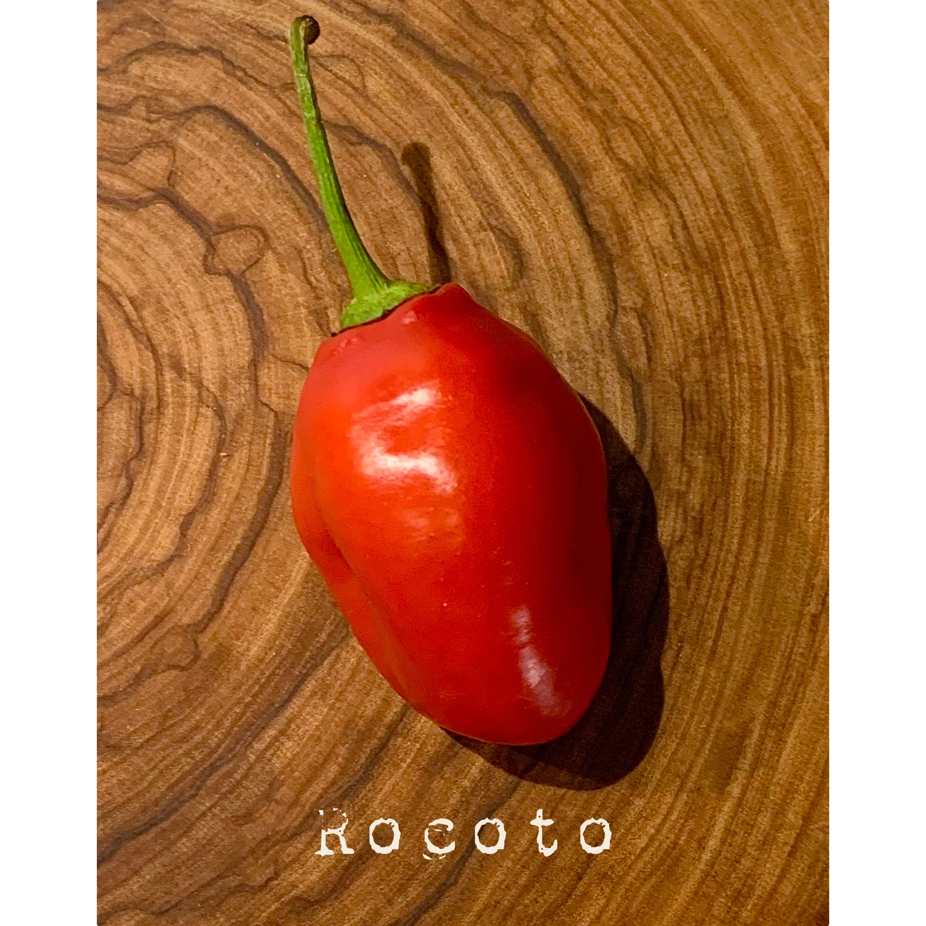 Rocoto - Hot Pepper Seeds – Twelfth Fire Hot Pepper Co.
