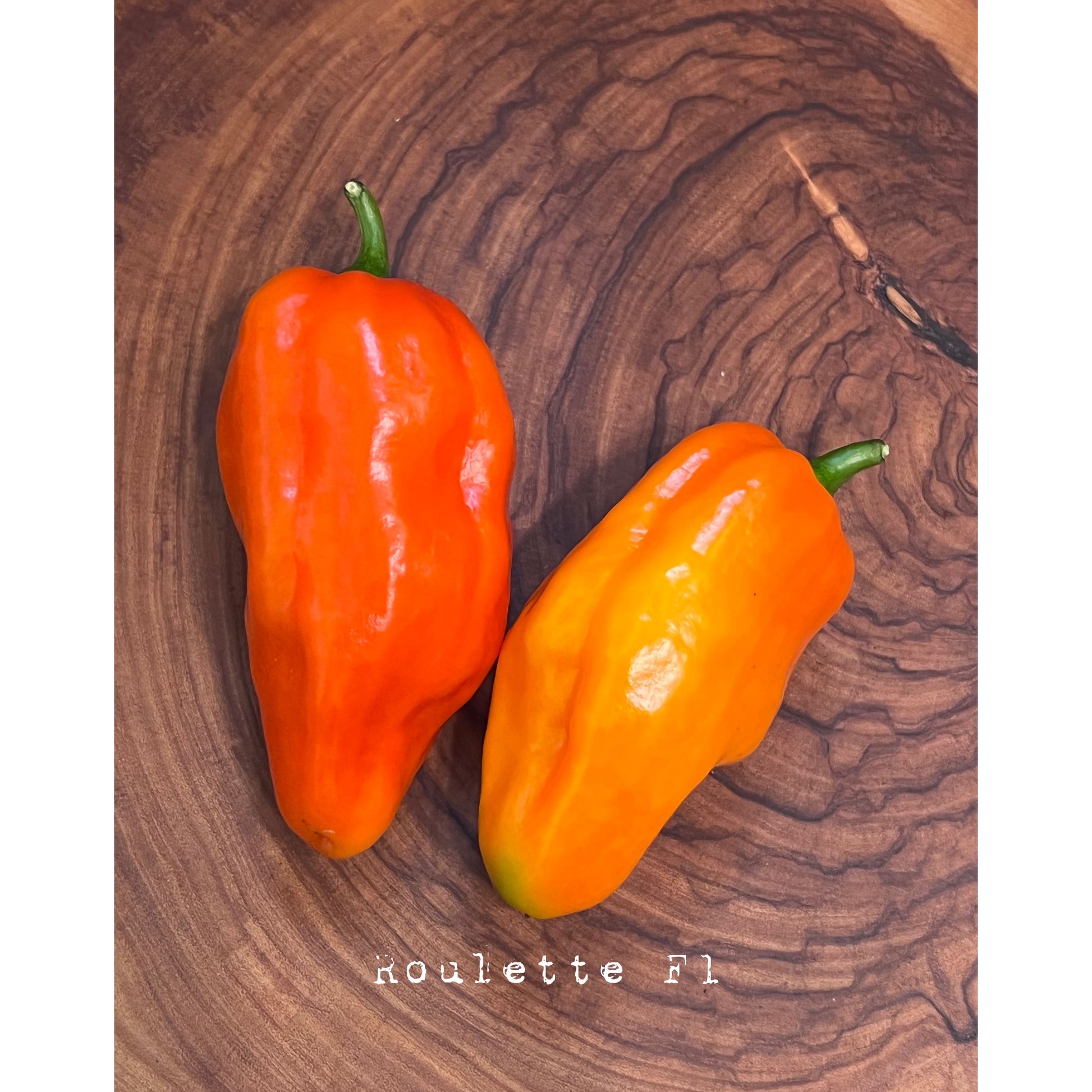 Roulette F1 - Hot Pepper Seeds