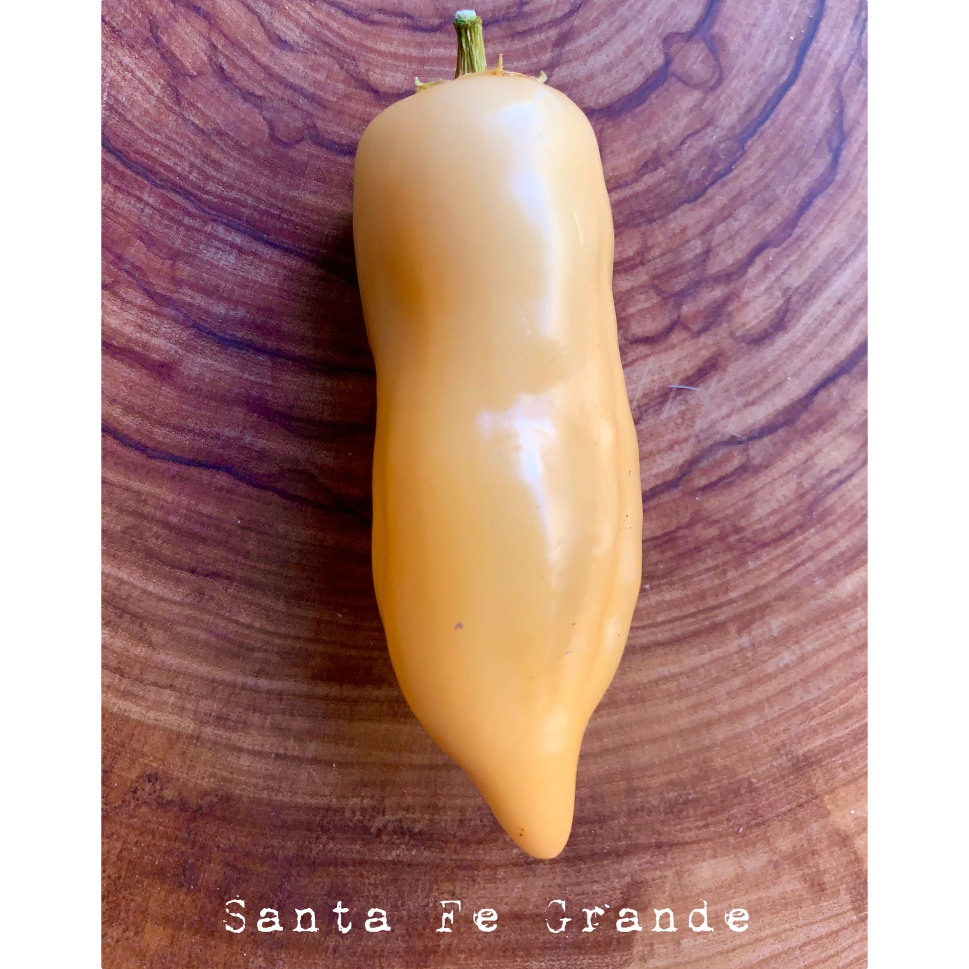 Santa Fe Grande - Hot Pepper Seeds