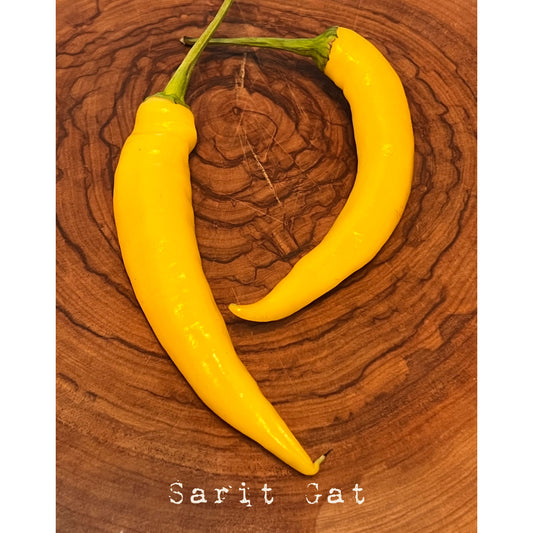 Sarit Gat - Hot Pepper Seeds