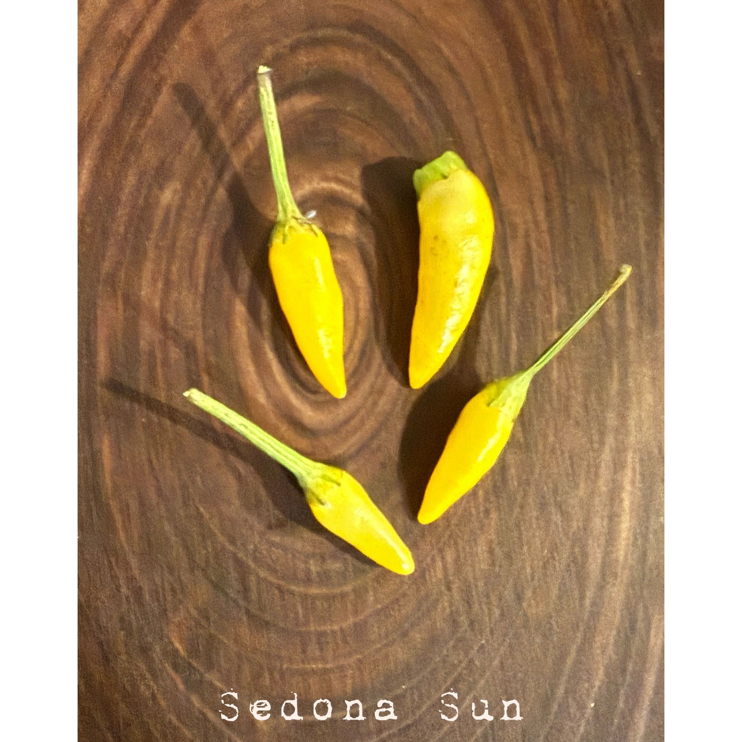 Graines de piment fort Sedona Sun