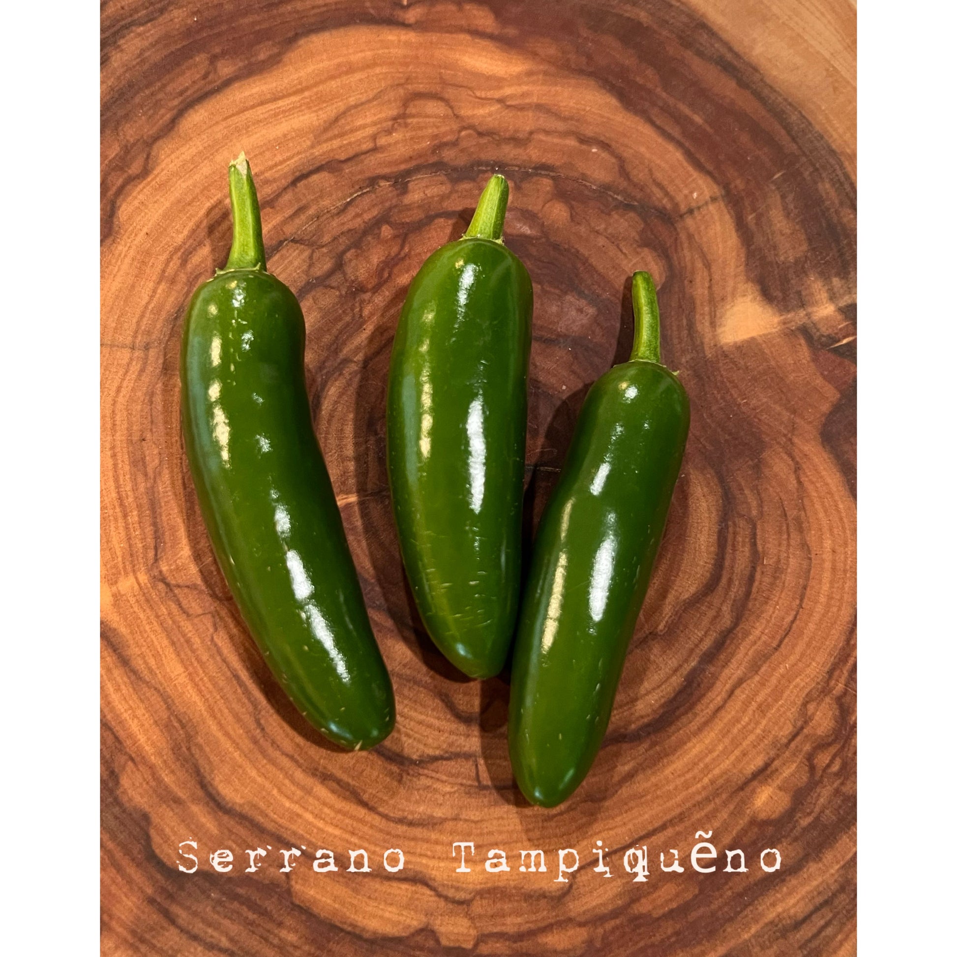 Serrano Tampiqu·∫Ωno - Hot Pepper Seeds