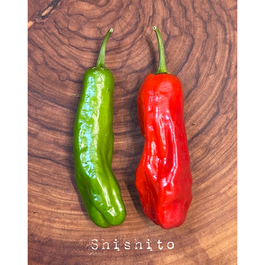 Shishito - Green - Hot Pepper Seeds