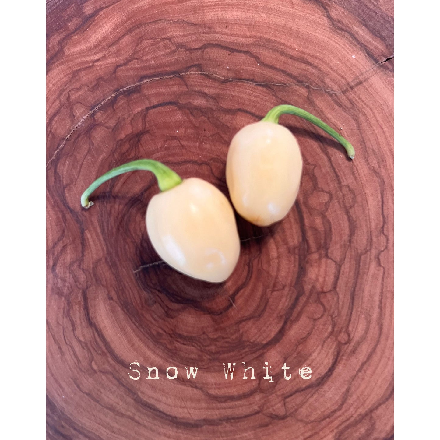 Snow White - Hot Pepper Seeds