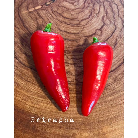 Sriracha - Hot Pepper Seeds