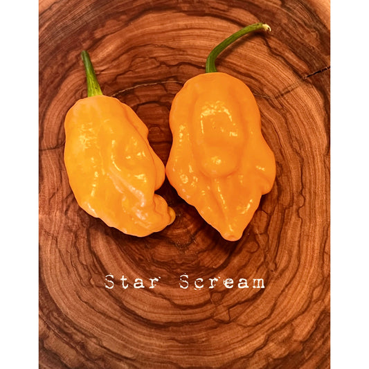 Star Scream - Hot Pepper Seeds