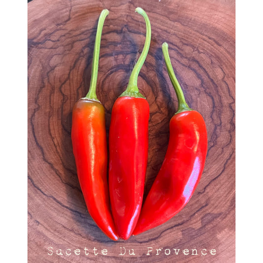 Sucette Du Provence - Hot Pepper Seeds