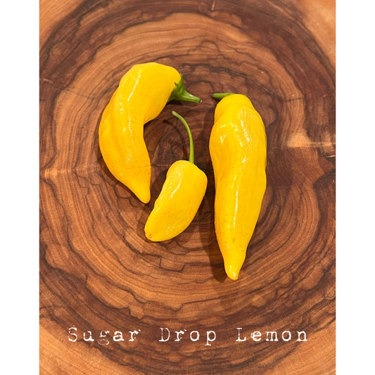 Sugar Drop Lemon - Hot Pepper Seeds