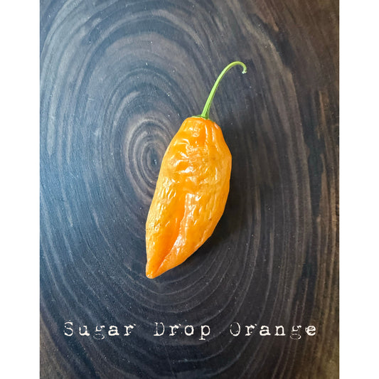 Sugar Drop Orange Hot Pepper Seeds
