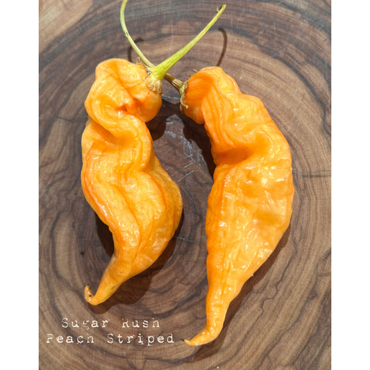 Sugar Rush Peach Stripey - Hot Pepper Seeds