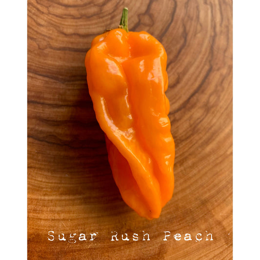 Sugar Rush Peach - Hot Pepper Seeds