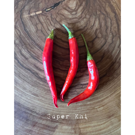 Super Khi - Hot Pepper Seeds