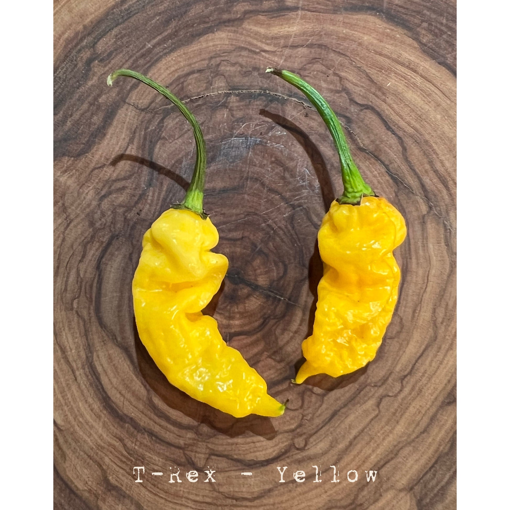 T-Rex - Yellow - Hot Pepper Seeds