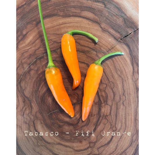 Tabasco Fifi Orange - Hot Pepper Seeds