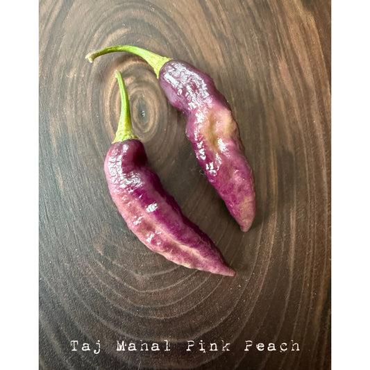 Taj Mahal - Pink Peach Hot Pepper Seeds