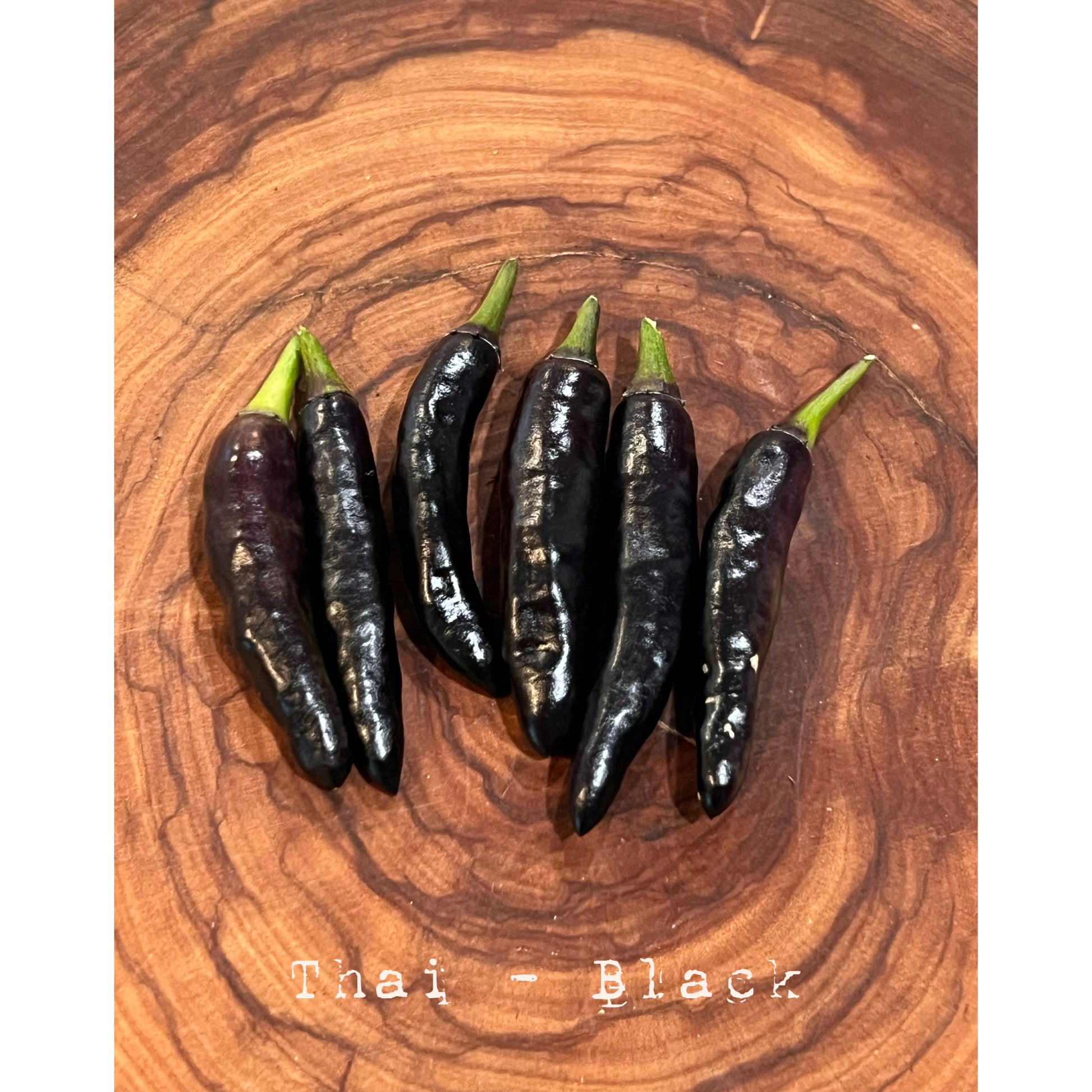 Thai - Black - Hot Pepper Seeds