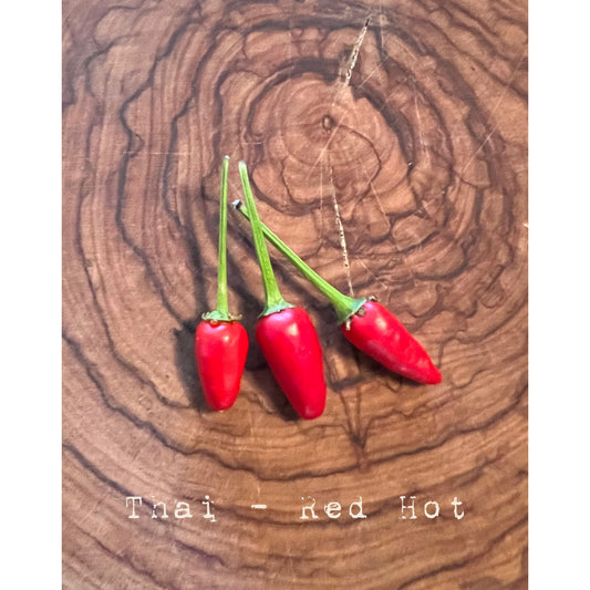 Thai - Red Hot - Hot Pepper Seeds