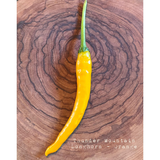 Thunder Mountain Longhorn Orange - Hot Pepper Seeds