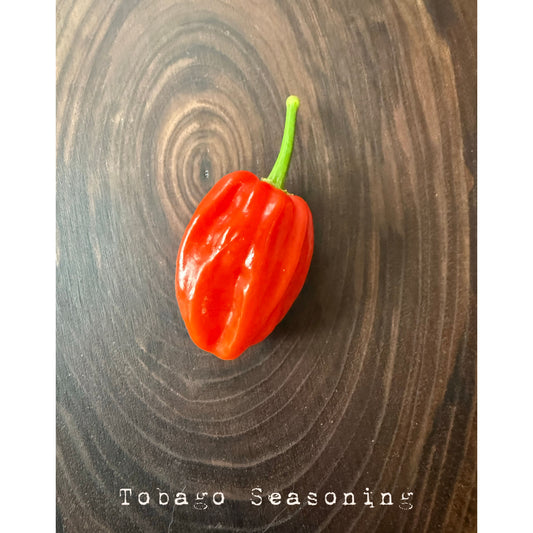Tobago Seasoning Hot Pepper Seeds