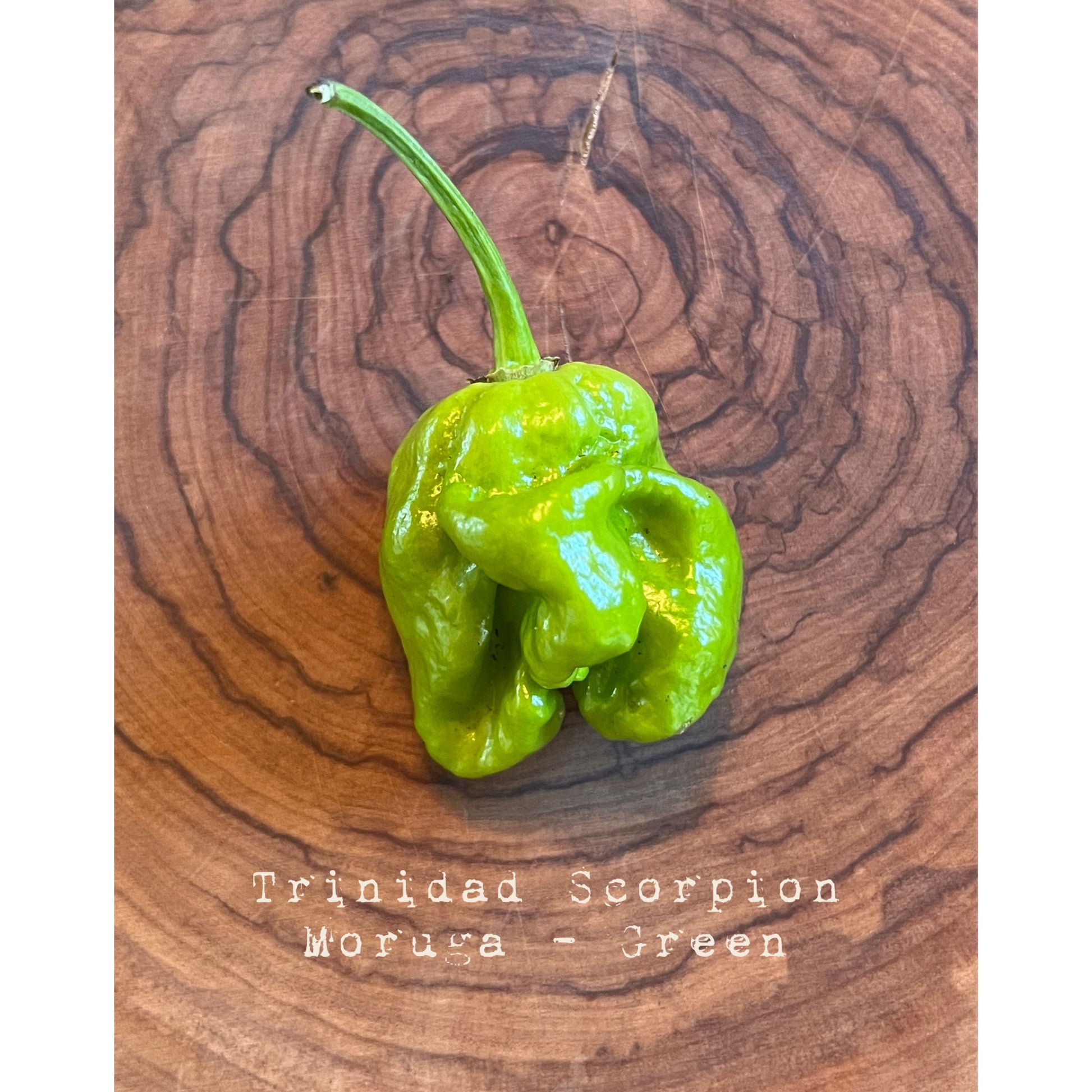Trinidad Moruga Scorpion - Green - Hot Pepper Seeds